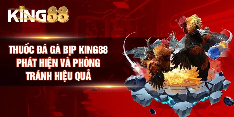 Thuốc Đá Gà Bịp King88 - Phát Hiện Và Phòng Tránh Hiệu Quả
